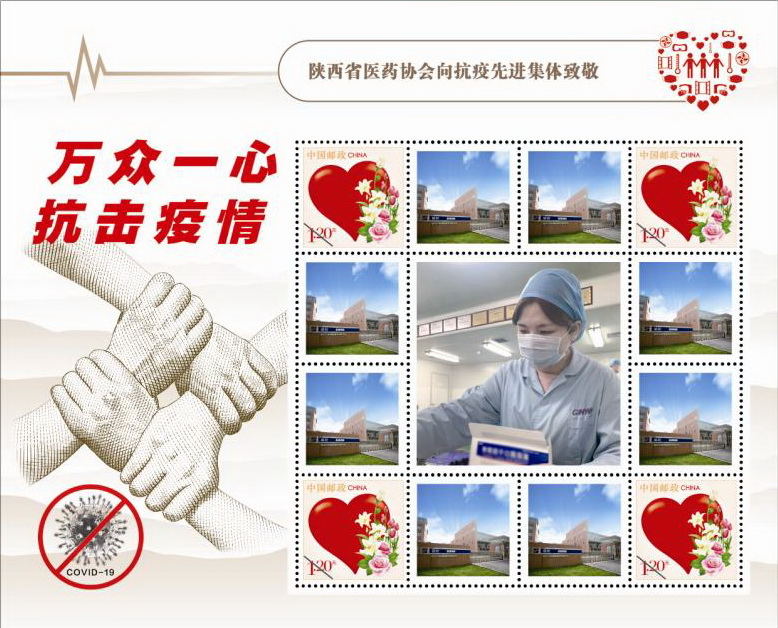 疫情防控彰顯企業(yè)責(zé)任 金花股份榮獲多項殊榮